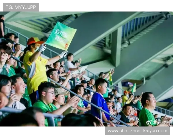 球迷文化建设亟需重视 积极引导文明观赛行为